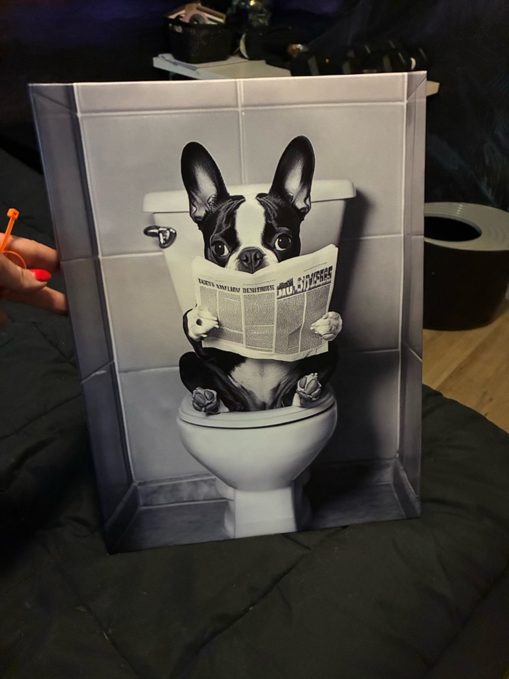 12x16 BOSTON TERRIER ART CANVAS 🐶 💥LIKE NEW CONDITION💥